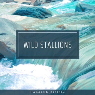 Wild Stallions