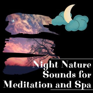 Night Nature Sounds for Meditation and Spa