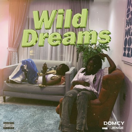 Wild Dreams ft. Jenge | Boomplay Music