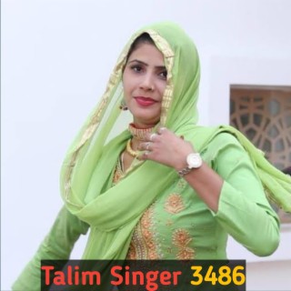 Talim Singer 3486