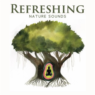 Refreshing Nature Sounds: Noises Best to Sleep, Organic Relaxation and Dreams