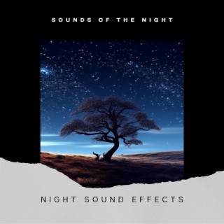 Night Sound Effects