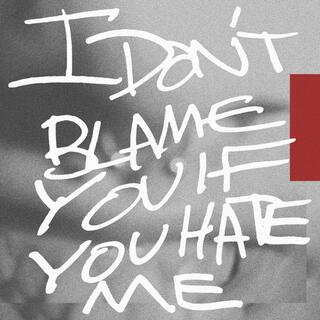 I DON'T BLAME YOU IF YOU HATE ME