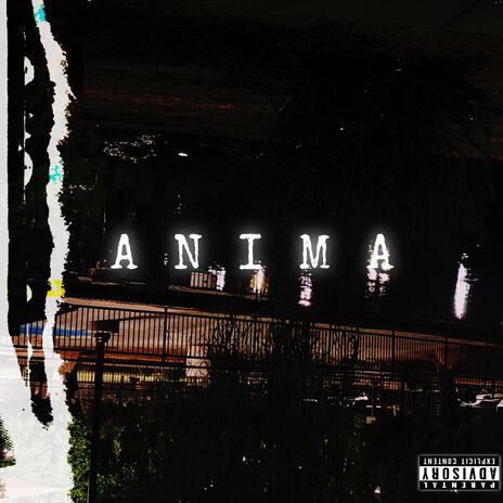 ANIMA FREESTYLE | Boomplay Music