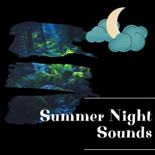 Summer Night Sounds