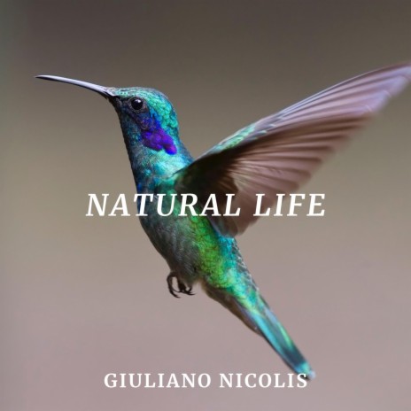 Natural Life | Boomplay Music