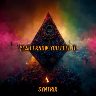 Yeah I Know You Feel It (Radio Edit)