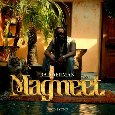 Magneet | Boomplay Music