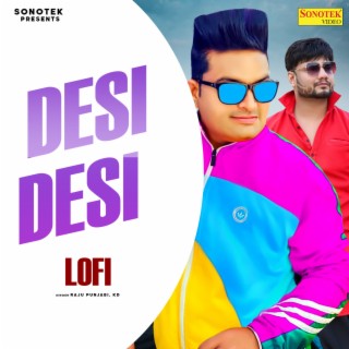 Desi Desi Lofi Mix