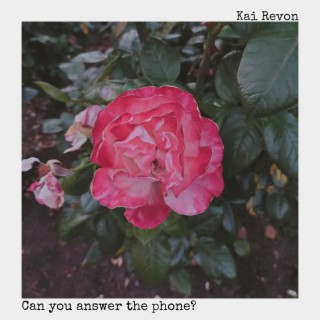 Can you answer the phone?