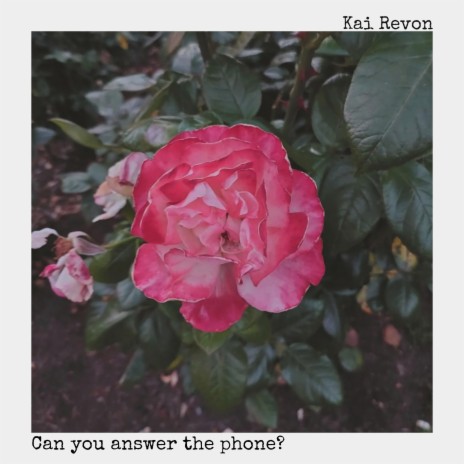 Can you answer the phone? | Boomplay Music