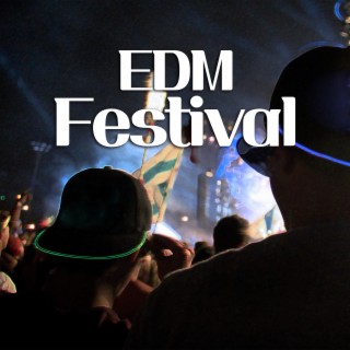 D.BGM #EDM Festival