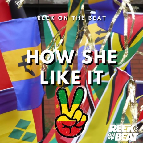 How She Like It (Jersey Club Remix)