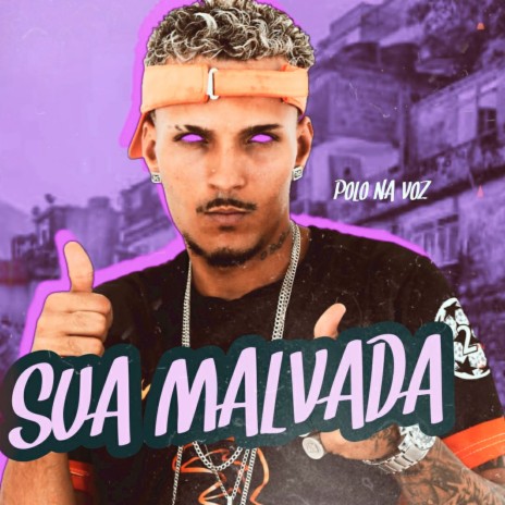 Sua Malvada (feat. Mc Polo) | Boomplay Music