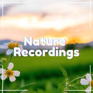 Natural Sounds Mix