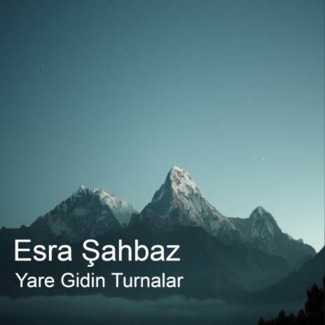 Yare Gidin Turnalar | Boomplay Music