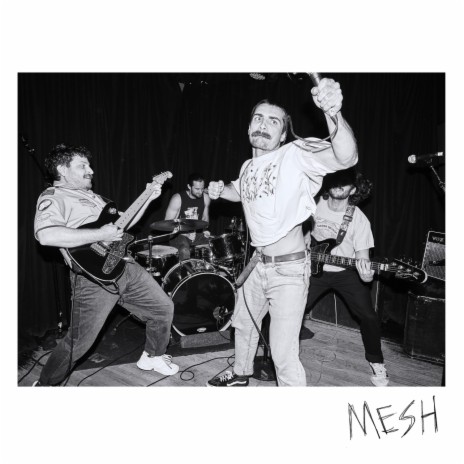 MESH | Boomplay Music