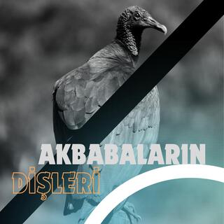 Akbabalar'ın Dişleri