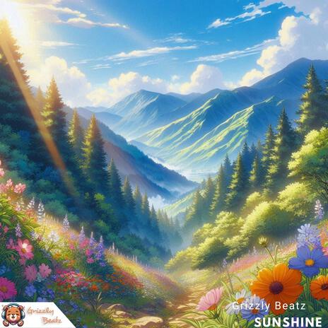 Sunshine (Instrumental) | Boomplay Music