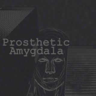 Prosthetic Amygdala