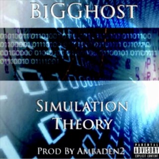 SIMULATION THEORY