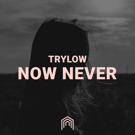 Now Never | Boomplay Music