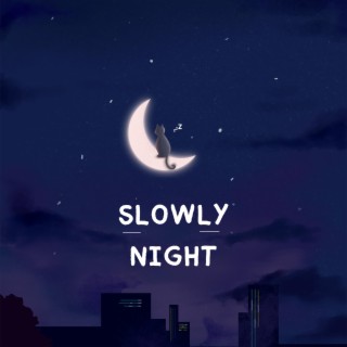 Slowly Night