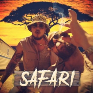 Safari