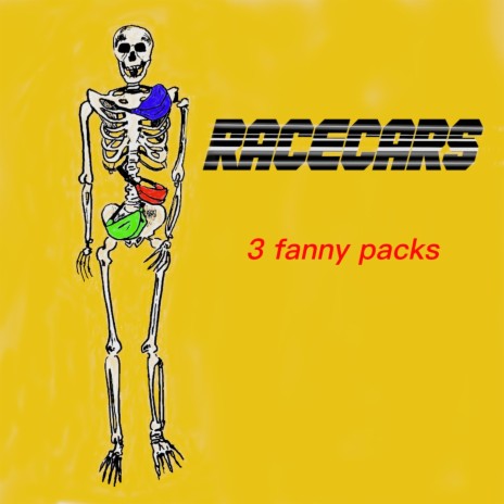 3 Fanny Packs