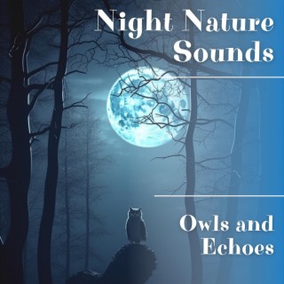 Owls and Echoes