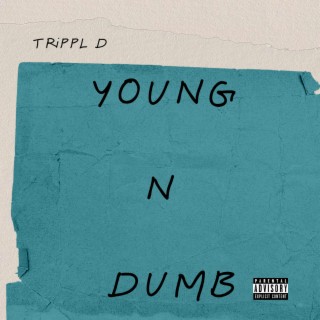 Young N Dumb lyrics | Boomplay Music