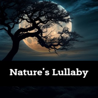 Peaceful Nocturnes: Nature's Lullaby