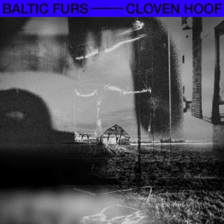 Cloven Hoof