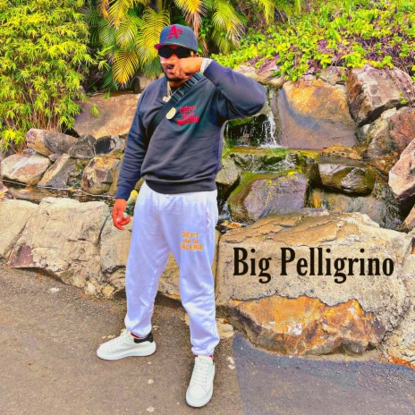 Big Pelligrino