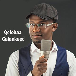 Qolabaa Calankeedu waa cayn