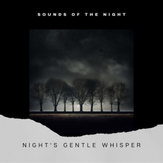 Night's Gentle Whisper