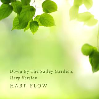 Down By The Salley Gardens (Harp Version)