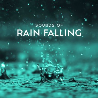 Sounds of Rain Falling: Sleep, Meditation & Anxiety