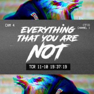 Everything That You Are Not