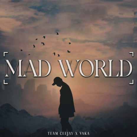 Mad World ft. VaKa | Boomplay Music