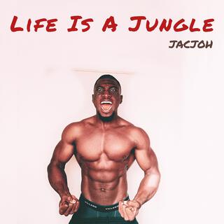 Life is a jungle