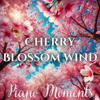 Cherry Blossom Wind: Soft & Peaceful Piano Moments for Slow Reflection