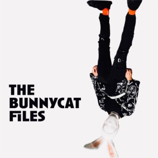 the bunnycat files