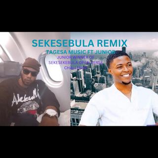 SEKESEKEBULA (FT . JUNIOR Remix)