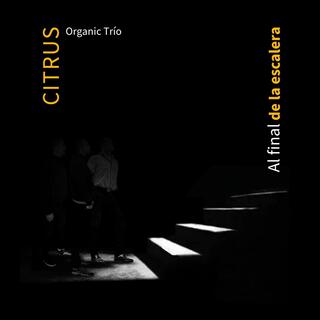 Citrus Organic Trio