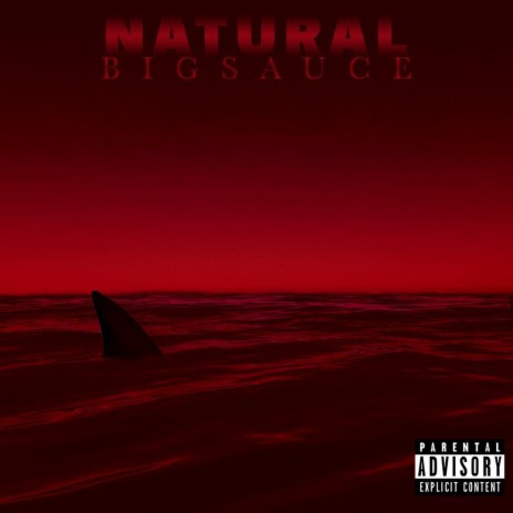 NATURAL | Boomplay Music