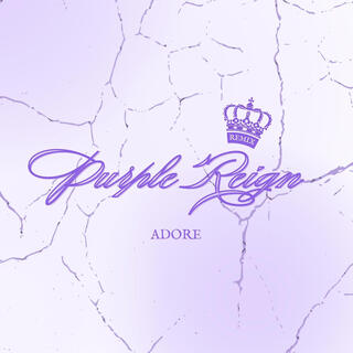 Purple Reign lyrics | Boomplay Music