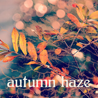 Autumn Haze