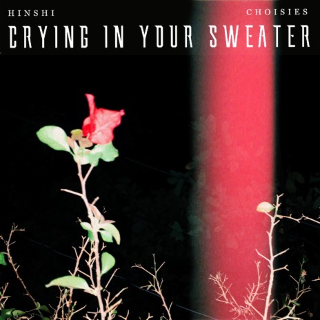 crying in your sweater ft. CHOISIES | Boomplay Music