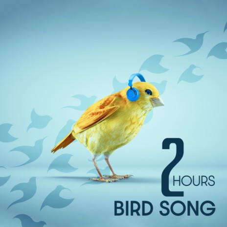 Lovely Sound of Summer ft. Calm Singing Birds Zone